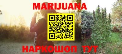 прущие грибы Нальчик