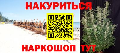 прущие грибы Нальчик