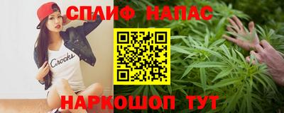 прущие грибы Нальчик