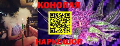 сатива Нарткала
