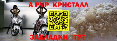 прущие грибы Нальчик