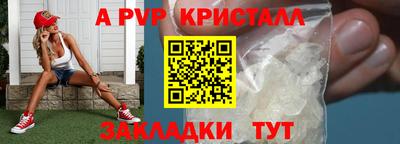 прущие грибы Нальчик