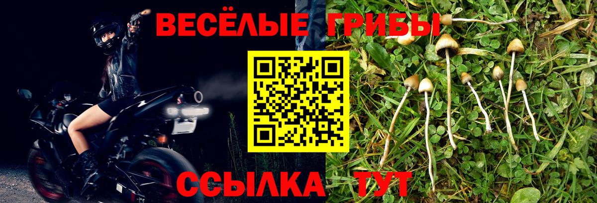 Псилоцибиновые грибы ЛСД  Вход с VPN  Псилоцибиновые грибы ЛСД  Урус-Мартан 